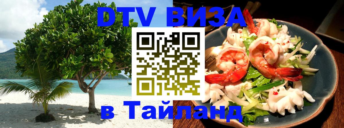 Сколько стоит DTV виза — актуальные цены, оформление даже без документов - 18.11.2025 